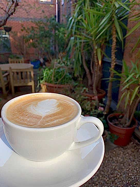A white cup and saucer containing coffee, with plants in the background