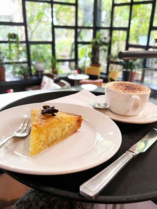 A white plate with a slice of sponge cake, and a white mug containing coffee, with windows and plants in the background